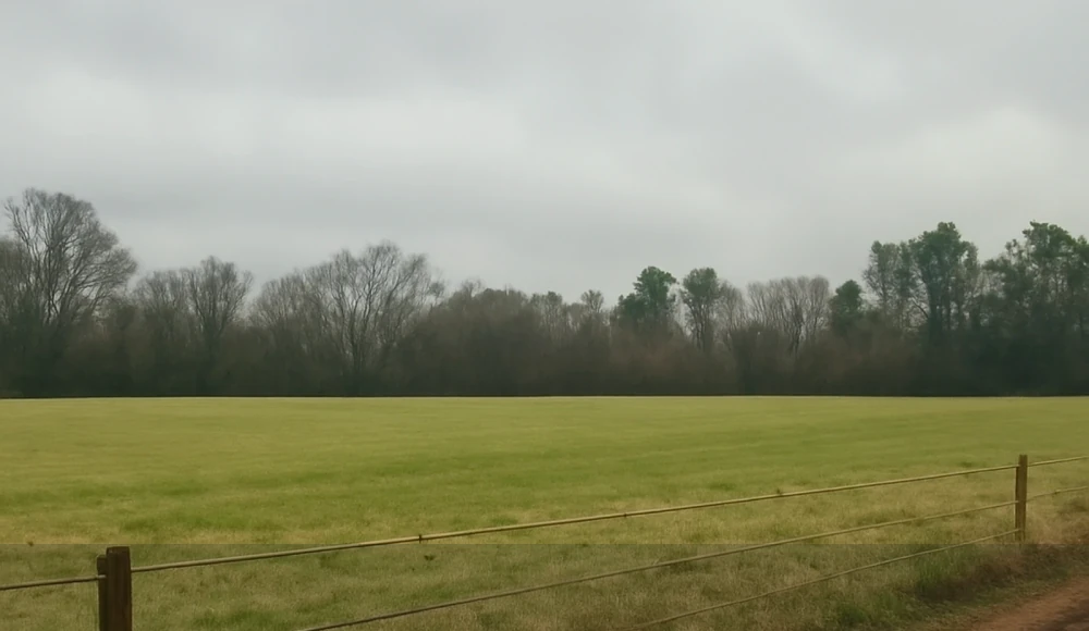 Alabama Land Buyers: How to Find Cash Buyers for Your Land closing checklist