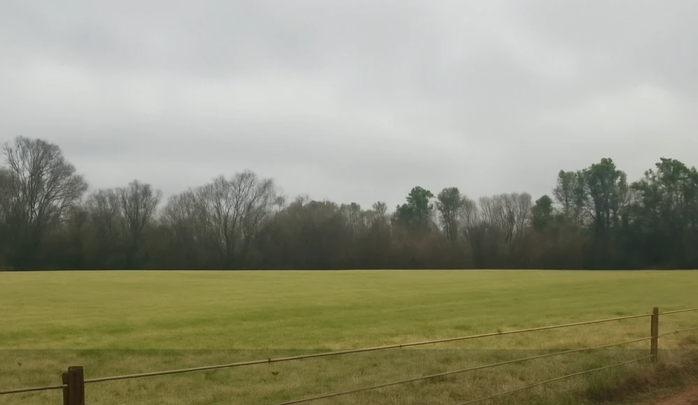 How to Sell Land Without a Realtor in Alabama land sale review