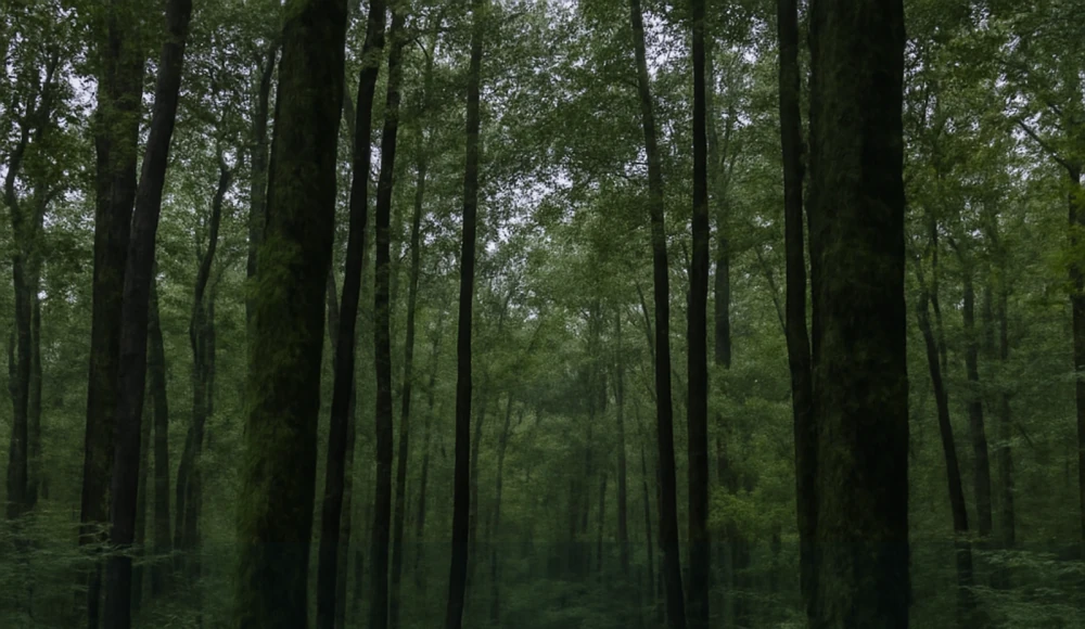 Legal Documents for Selling Land in Alabama land guide