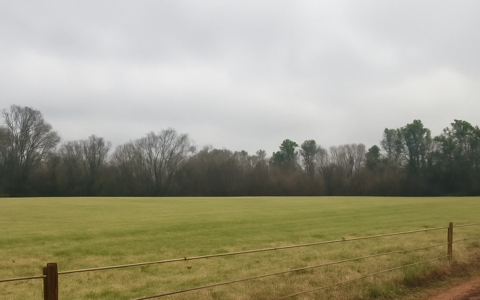 Rural acreage in Baldwin County