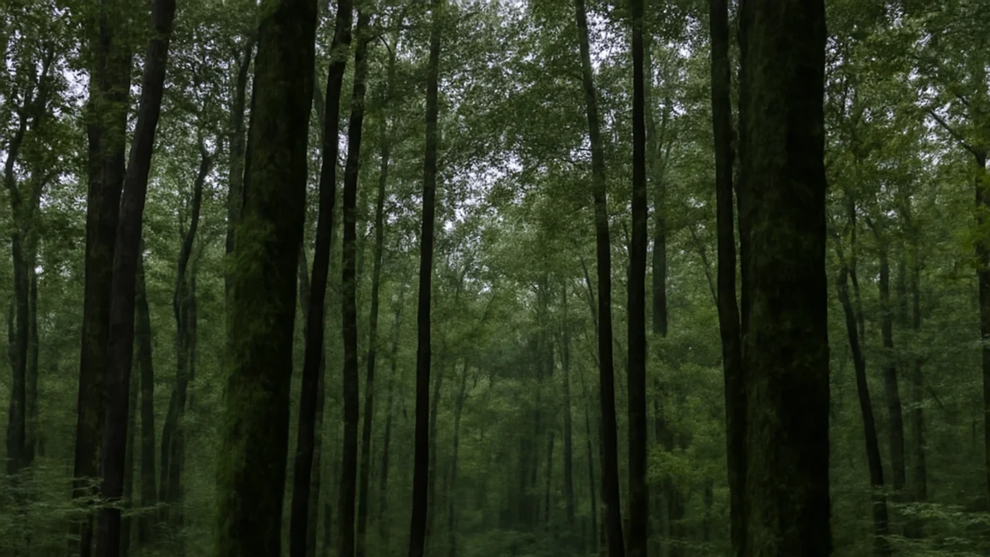 Madison County vacant land, wooded acreage, and rural parcels in Alabama
